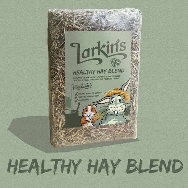 Larkins Healthy Hay Blend Fashion